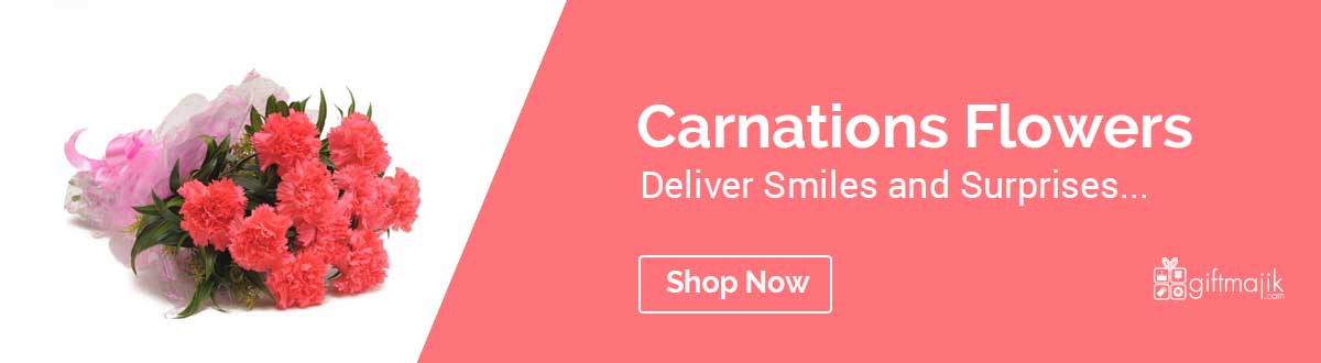 Send online Carnation Flowers